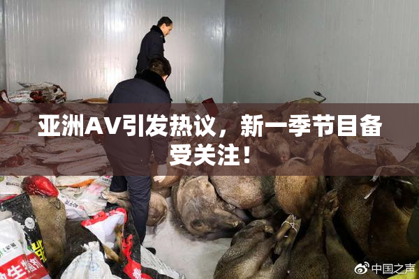 亚洲AV引发热议，新一季节目备受关注！