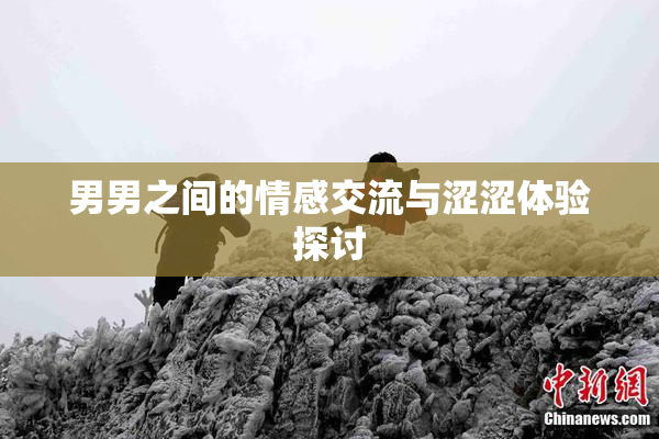 男男之间的情感交流与涩涩体验探讨