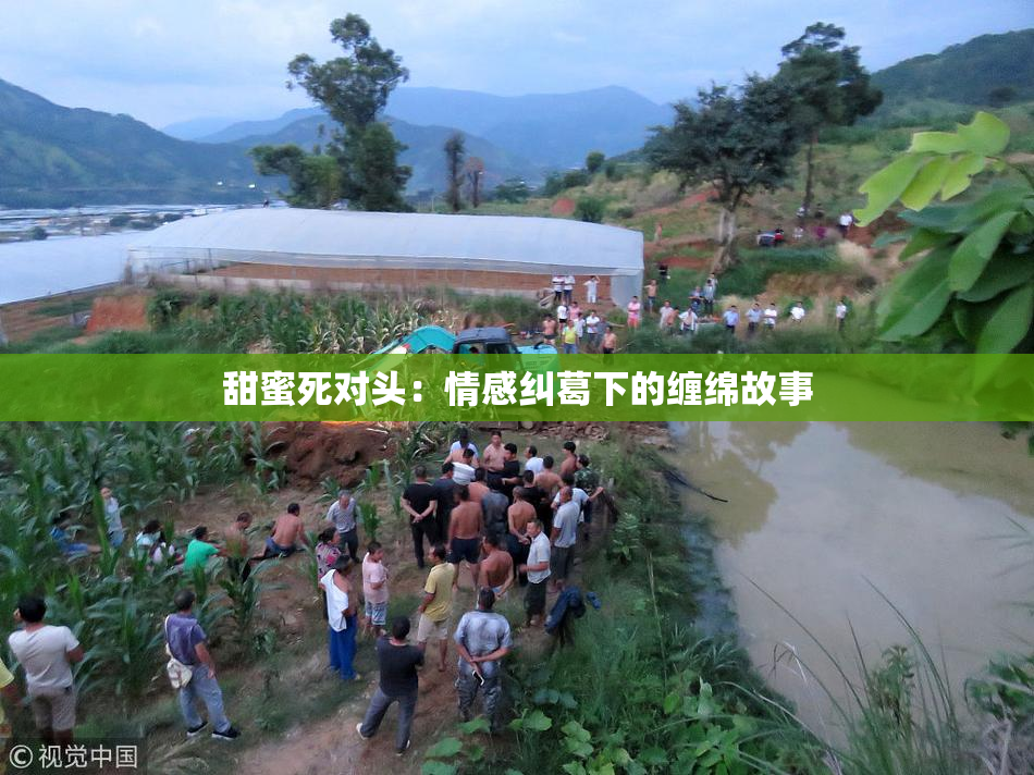 甜蜜死对头：情感纠葛下的缠绵故事