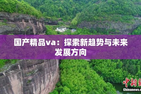 国产精品va：探索新趋势与未来发展方向