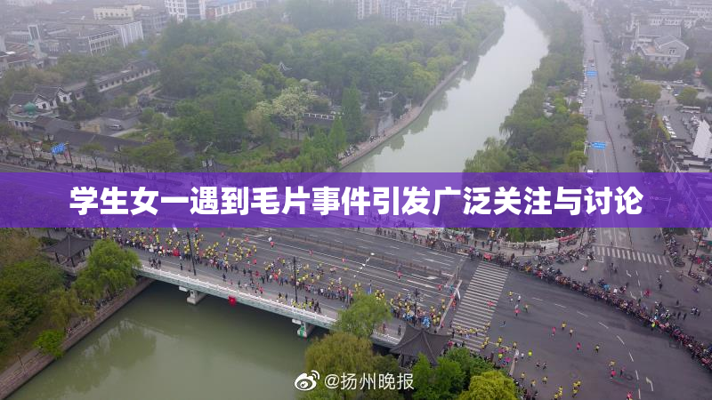 学生女一遇到毛片事件引发广泛关注与讨论