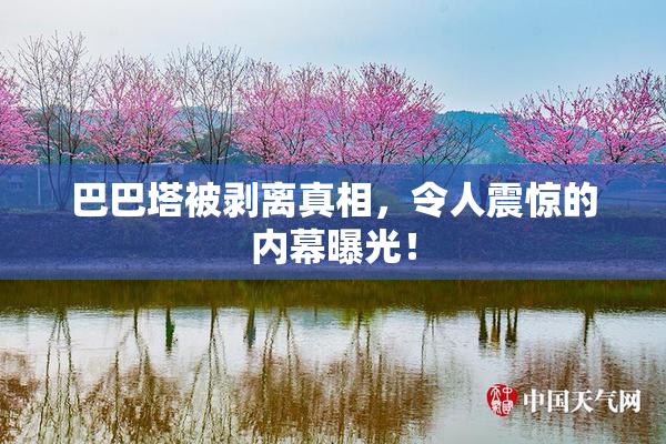 巴巴塔被剥离真相，令人震惊的内幕曝光！
