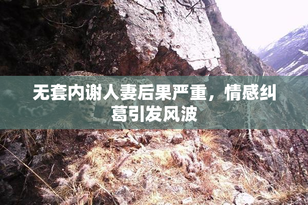 无套内谢人妻后果严重，情感纠葛引发风波