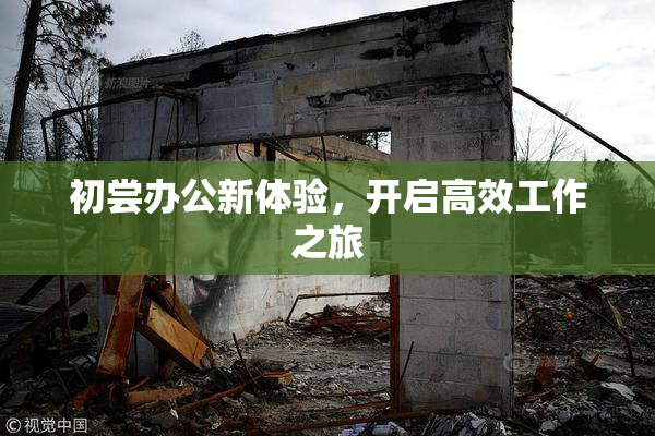 初尝办公新体验，开启高效工作之旅