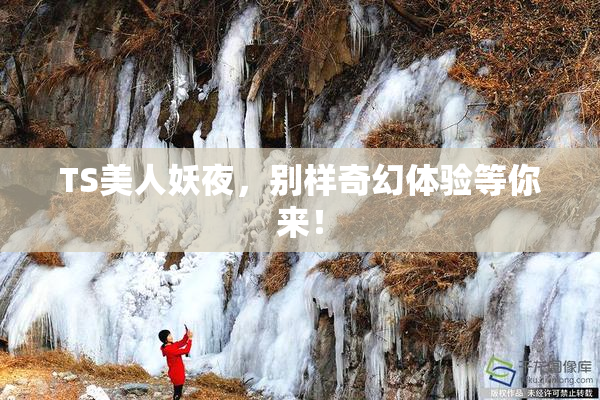 TS美人妖夜，别样奇幻体验等你来！