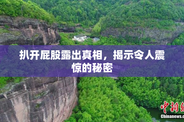 扒开屁股露出真相，揭示令人震惊的秘密