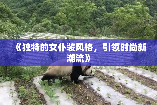 《独特的女仆装风格，引领时尚新潮流》