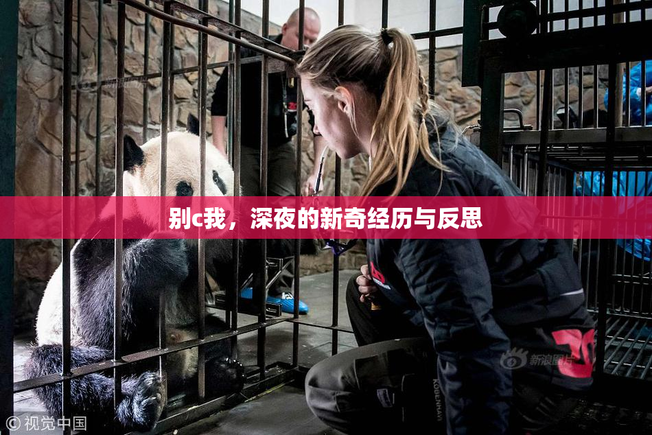别c我，深夜的新奇经历与反思