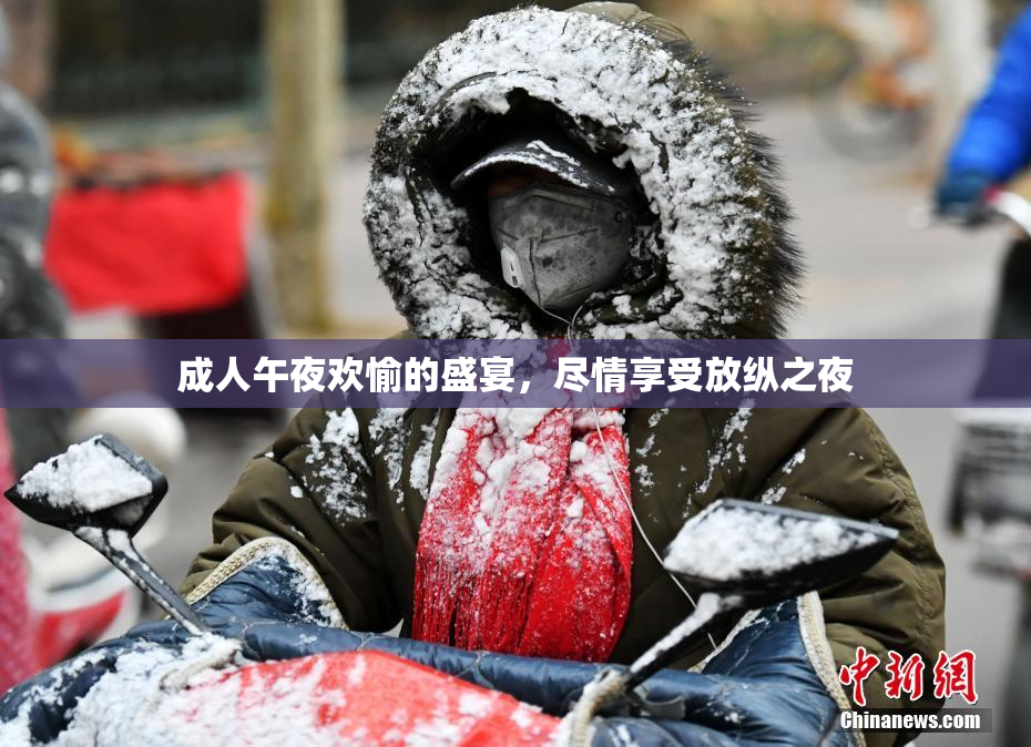 成人午夜欢愉的盛宴，尽情享受放纵之夜