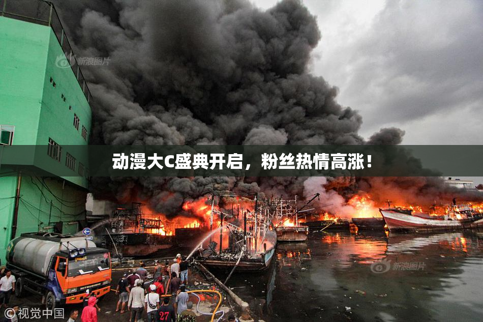 动漫大C盛典开启，粉丝热情高涨！
