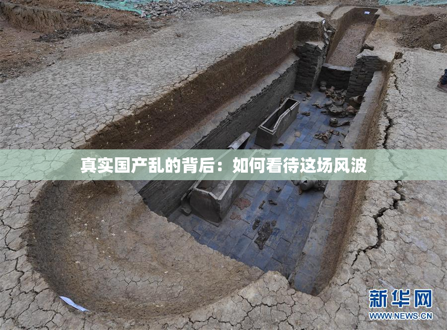 真实国产乱的背后：如何看待这场风波