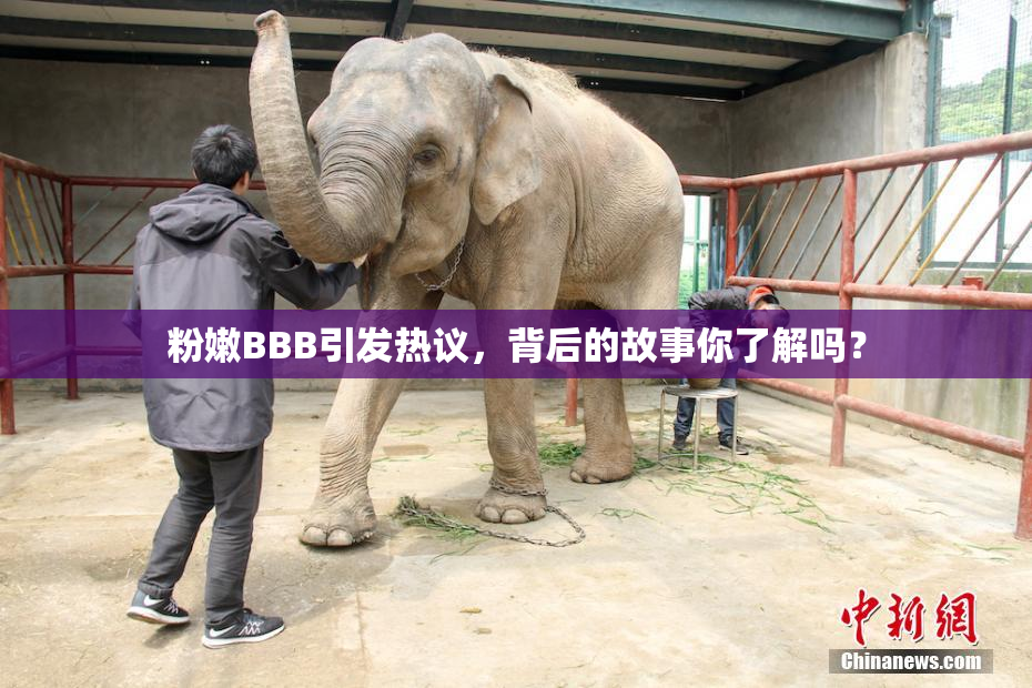粉嫩BBB引发热议，背后的故事你了解吗？