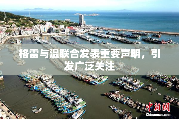 格雷与温联合发表重要声明，引发广泛关注