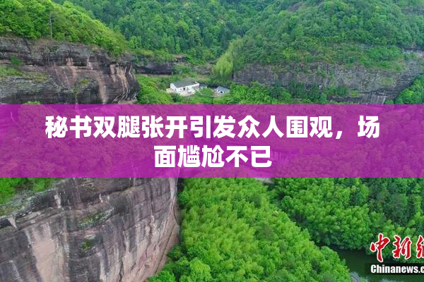 秘书双腿张开引发众人围观，场面尴尬不已