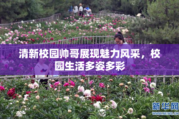 清新校园帅哥展现魅力风采，校园生活多姿多彩