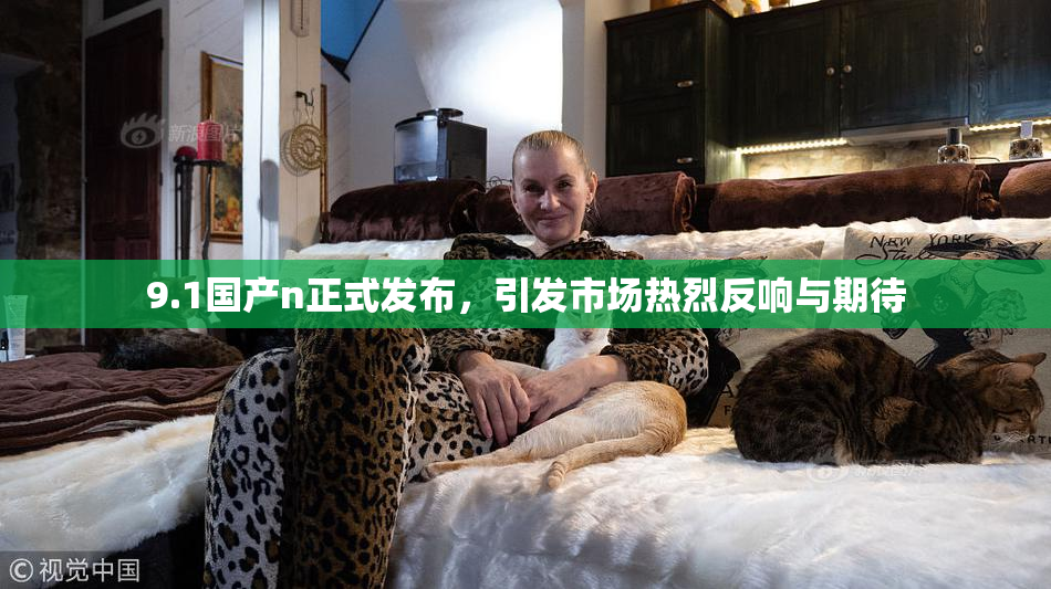 9.1国产n正式发布，引发市场热烈反响与期待