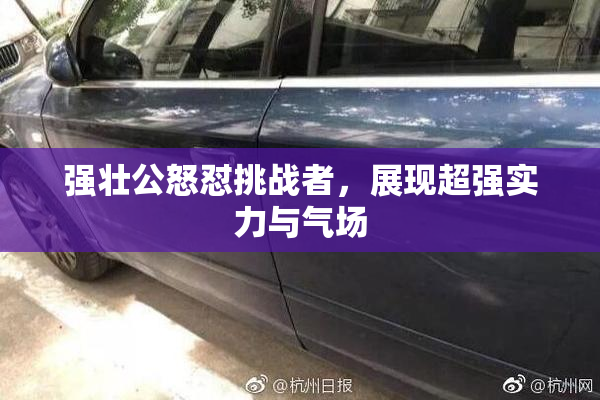 强壮公怒怼挑战者，展现超强实力与气场