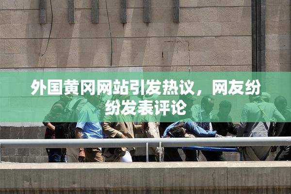 外国黄冈网站引发热议，网友纷纷发表评论