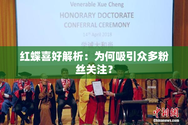 红蝶喜好解析：为何吸引众多粉丝关注？