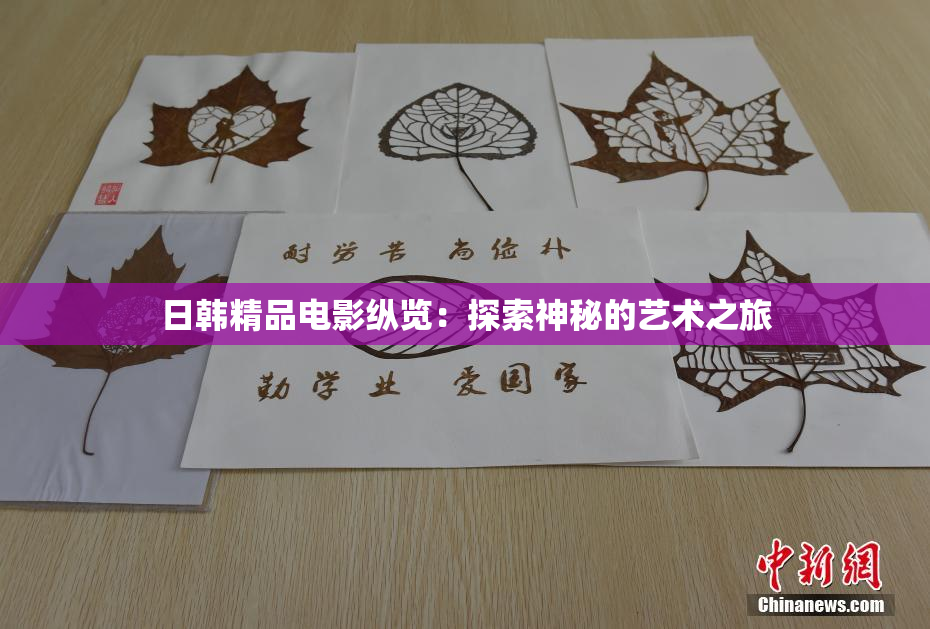 日韩精品电影纵览：探索神秘的艺术之旅