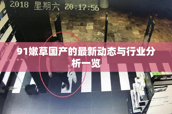 91嫩草国产的最新动态与行业分析一览