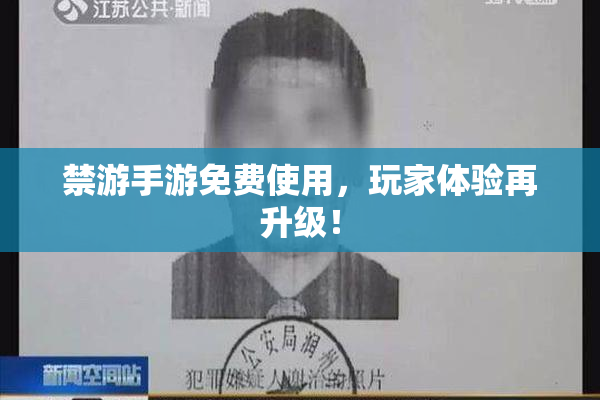 禁游手游免费使用，玩家体验再升级！