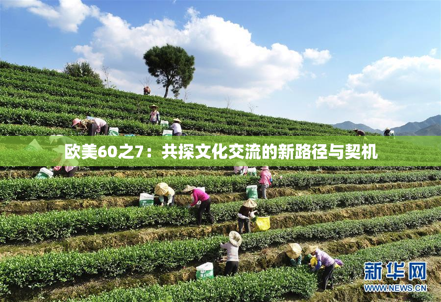 欧美60之7：共探文化交流的新路径与契机