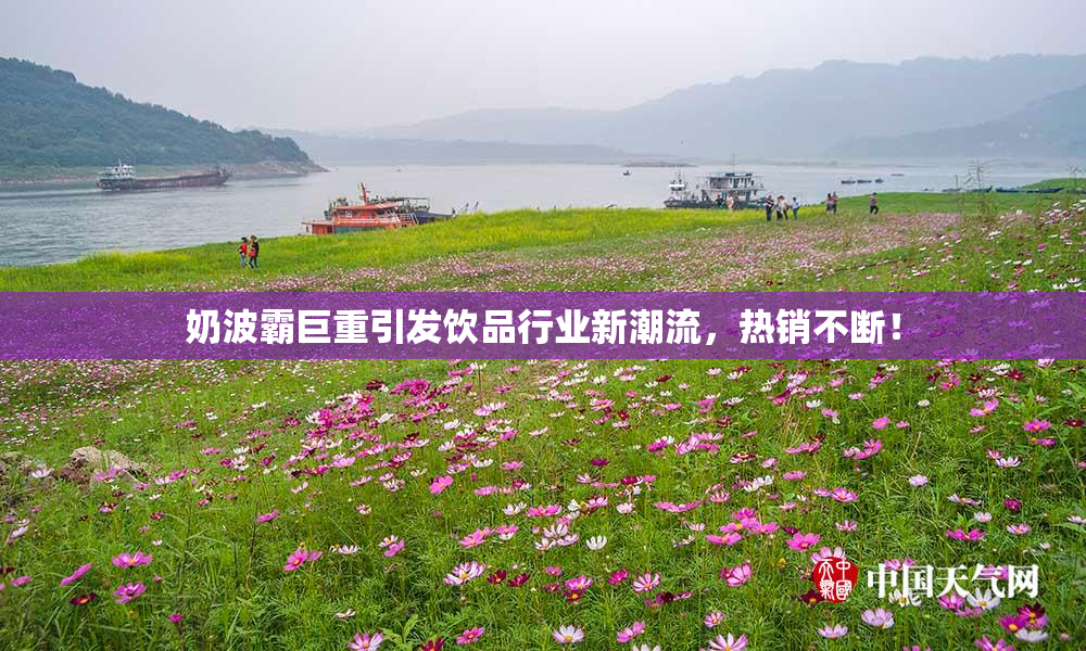 奶波霸巨重引发饮品行业新潮流，热销不断！