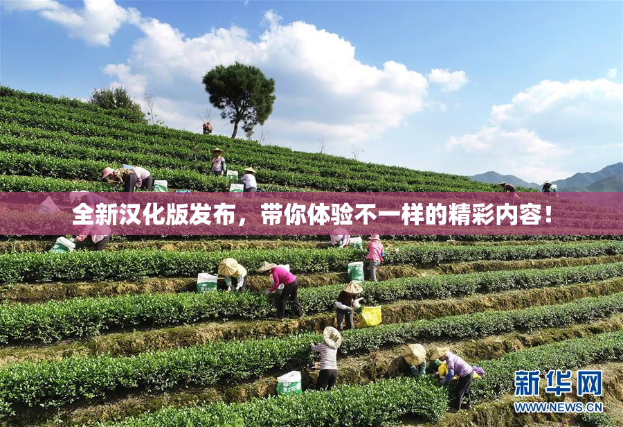 全新汉化版发布，带你体验不一样的精彩内容！