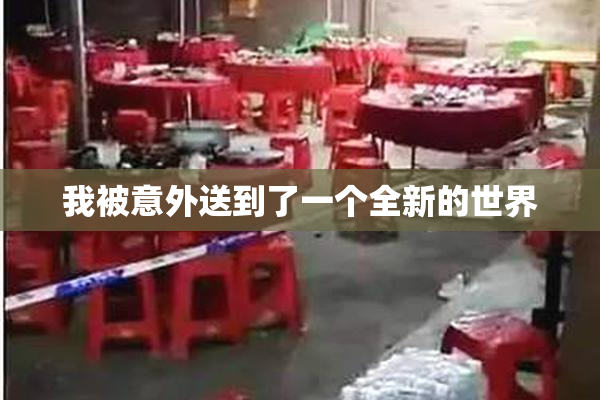 我被意外送到了一个全新的世界