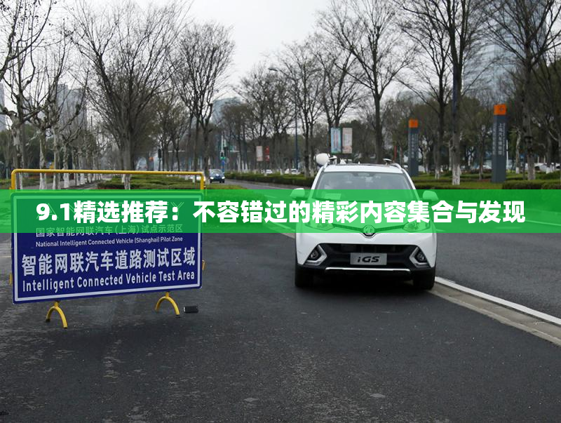 9.1精选推荐：不容错过的精彩内容集合与发现
