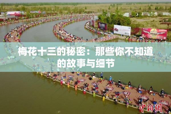 梅花十三的秘密：那些你不知道的故事与细节
