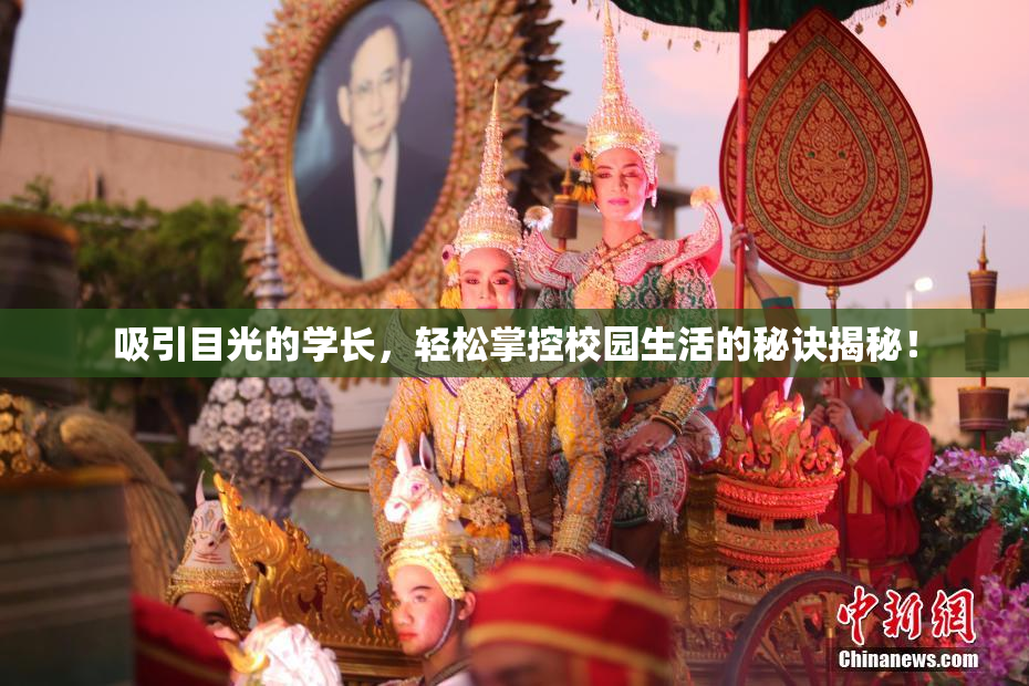 吸引目光的学长，轻松掌控校园生活的秘诀揭秘！