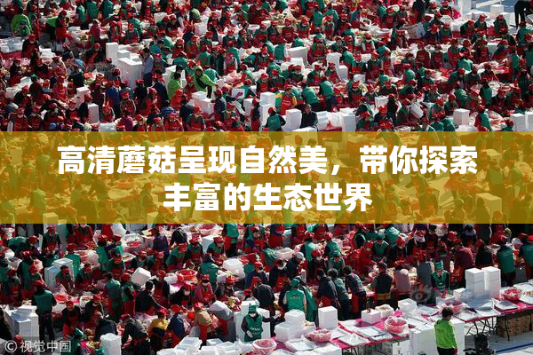 高清蘑菇呈现自然美，带你探索丰富的生态世界