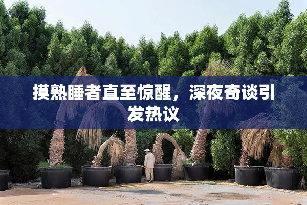 摸熟睡者直至惊醒，深夜奇谈引发热议