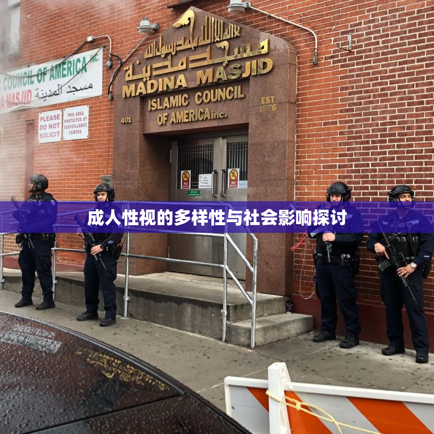 成人性视的多样性与社会影响探讨