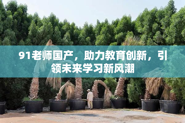 91老师国产，助力教育创新，引领未来学习新风潮