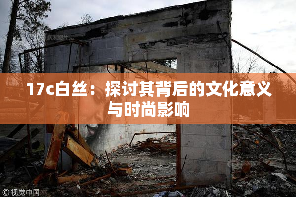 17c白丝：探讨其背后的文化意义与时尚影响
