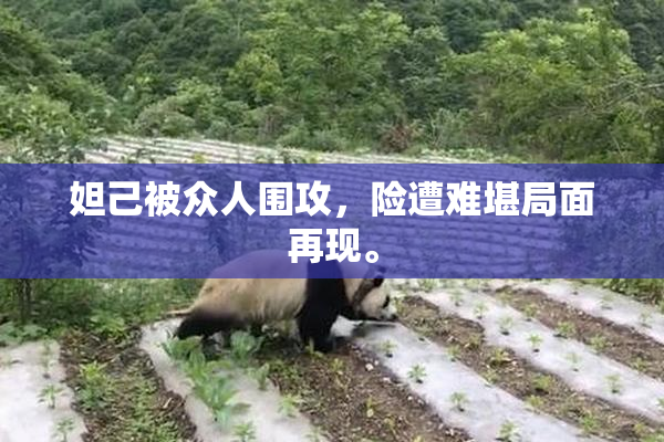 妲己被众人围攻，险遭难堪局面再现。