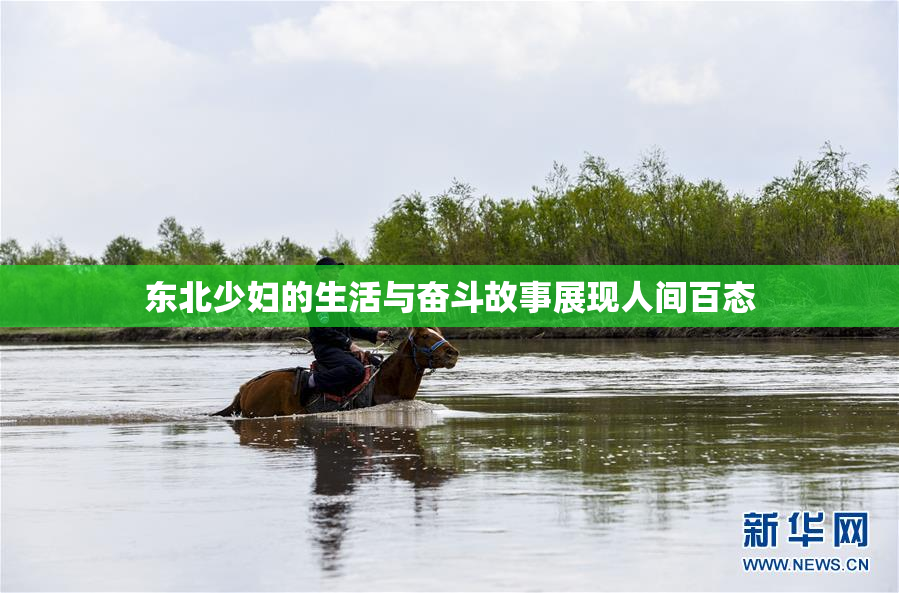 东北少妇的生活与奋斗故事展现人间百态