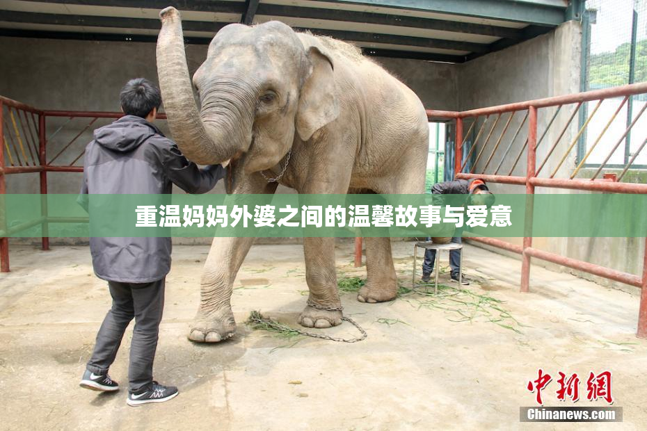 重温妈妈外婆之间的温馨故事与爱意