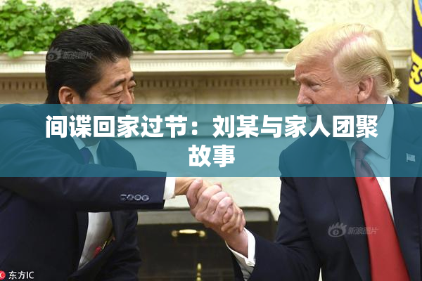 间谍回家过节：刘某与家人团聚故事