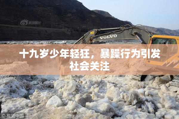 十九岁少年轻狂，暴躁行为引发社会关注