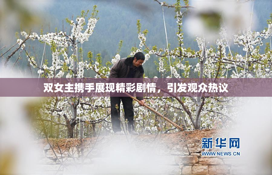 双女主携手展现精彩剧情，引发观众热议