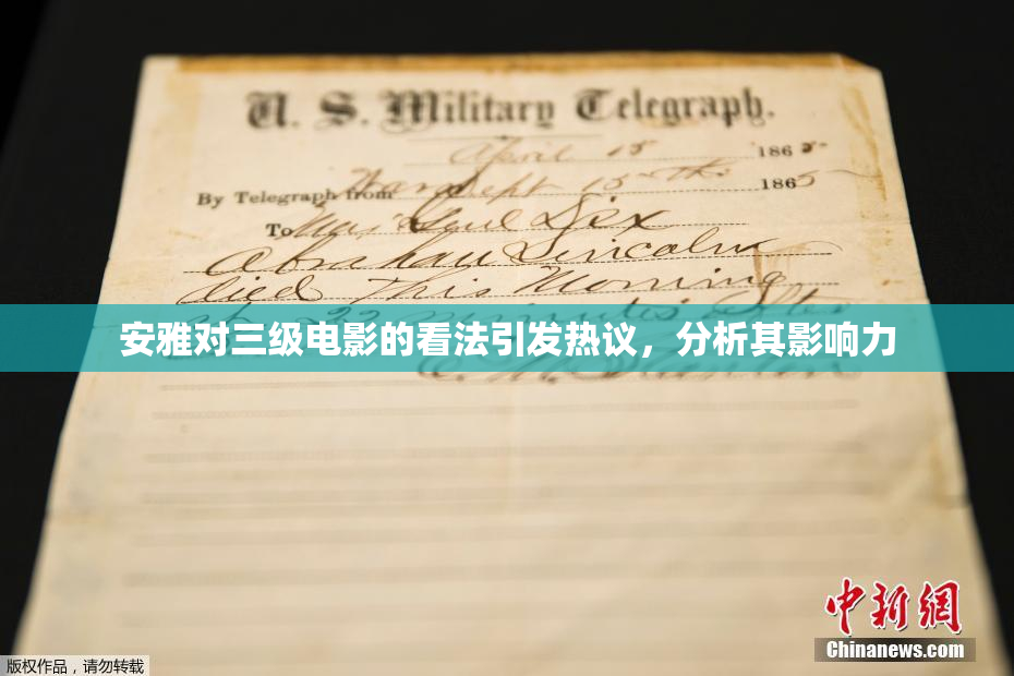 安雅对三级电影的看法引发热议，分析其影响力