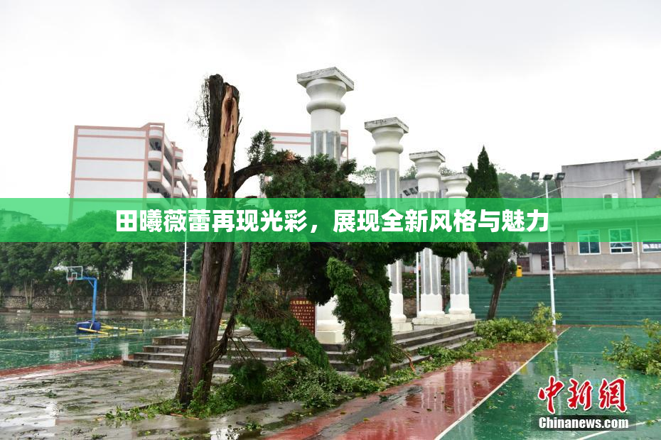 田曦薇蕾再现光彩，展现全新风格与魅力