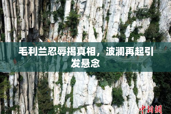毛利兰忍辱揭真相，波澜再起引发悬念