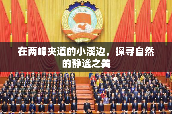 在两峰夹道的小溪边，探寻自然的静谧之美