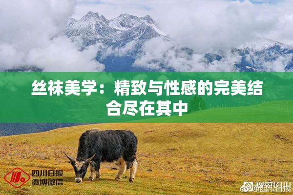 丝袜美学：精致与性感的完美结合尽在其中