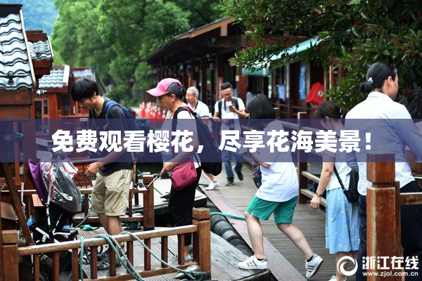 免费观看樱花，尽享花海美景！